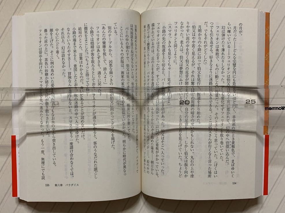 狂える者の書　パラディスの秘録【初版帯付】　タニス・リー／著　市田泉／訳　創元推理文庫_画像8