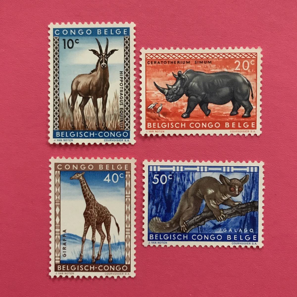 外国未使用切手★ベルギー領コンゴ 1959年 動物 4種の画像1