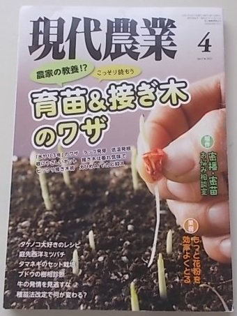 現代農業　2021年4月号　特集：農家の教養！？こっそり読もう育苗&接ぎ木のワザ_画像1