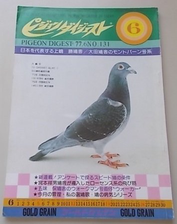 ピジョンダイジェスト　1977年6月号NO.131　特集：日本を代表する上嶋勝鳩舎/新連載！アンケート探るスピード鳩の条件他_画像1
