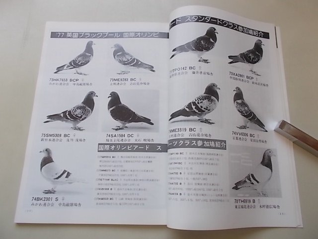  Pigeon большой je -тактный 1977 год 2 месяц номер NO.127 специальный выпуск : Япония . представитель делать дерево место книга@.. голубь ./ международный o Lynn Piaa -do.. голубь * участник! др. 