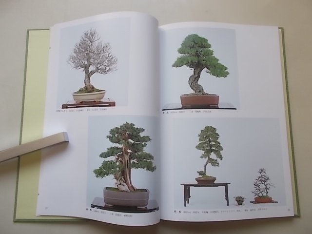  no. 74 times . manner bonsai exhibition Heisei era 16 year 