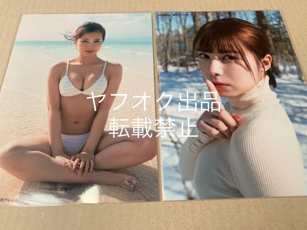 宮崎あみさ サイン会 限定 特典 生写真 週刊プレイボーイ 写真集 1920 全6種】宮崎あみさ サイン会 限定 特典 生写真 週刊プレイボーイ