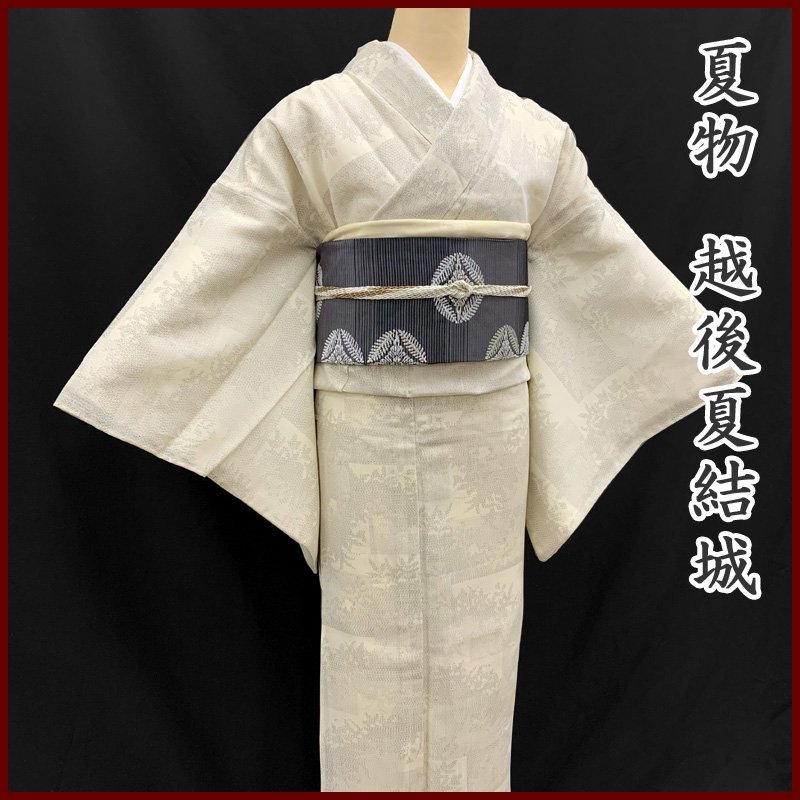 304mt10〇夏物 越後夏結城紬 亀甲 植物文〇美品-