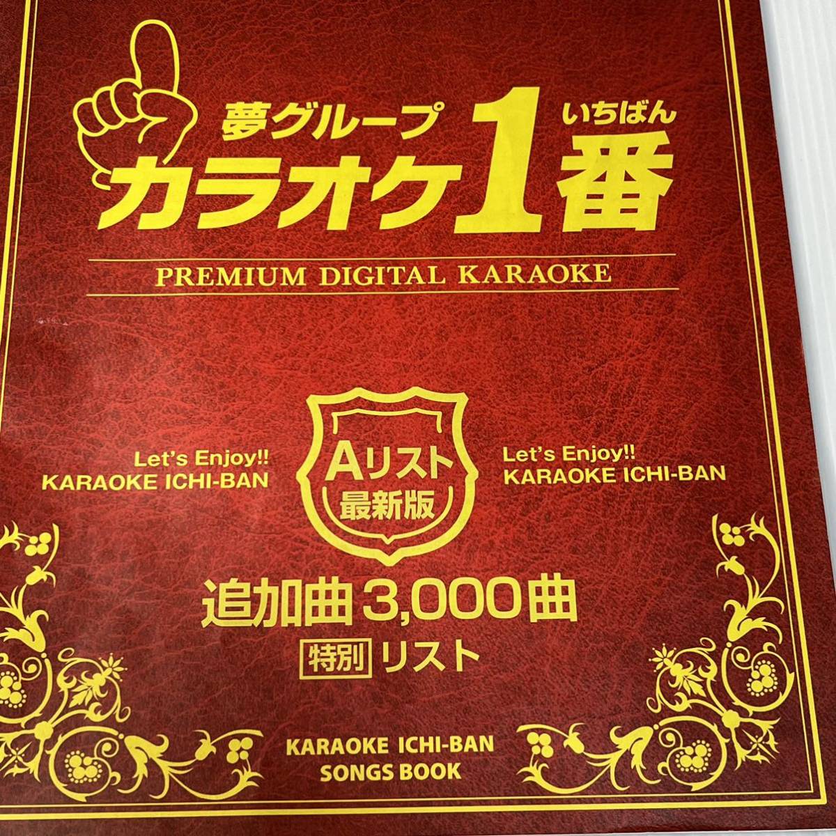 カラオケ1番 一番 Aリスト 夢グループ 追加曲 3000曲 チップ レア-