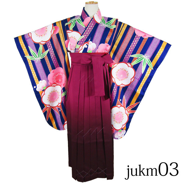 人気新品 [京の舞姿]ジュニア女の子着物袴3点セットjukm03 他の着物