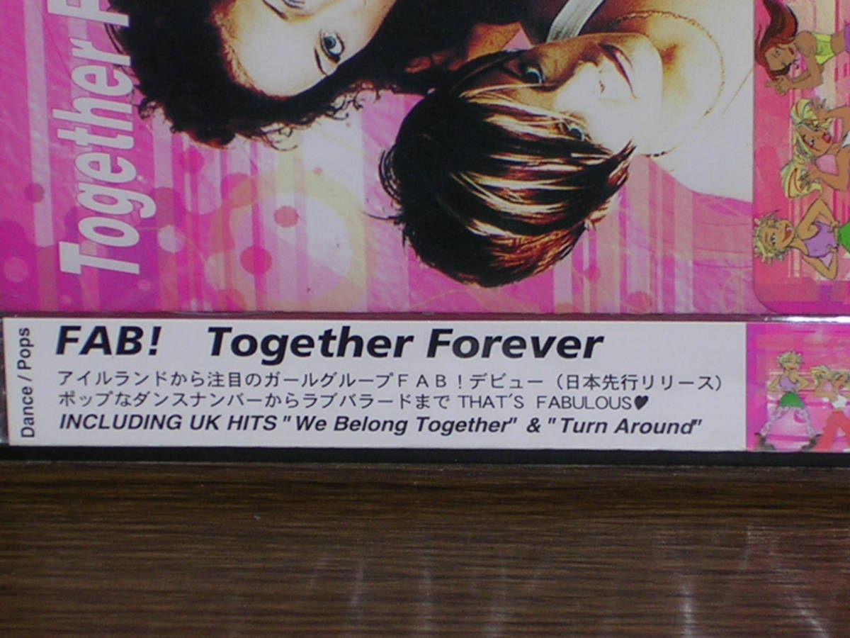 新品未開封国内盤CD FAB！(ファブ！)／Together Forever_画像4