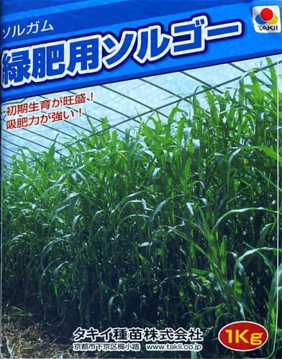 年間定番 タキイ種苗 緑肥 種 ソルガム 緑肥用ソルゴー 1kg×15袋 BSG558