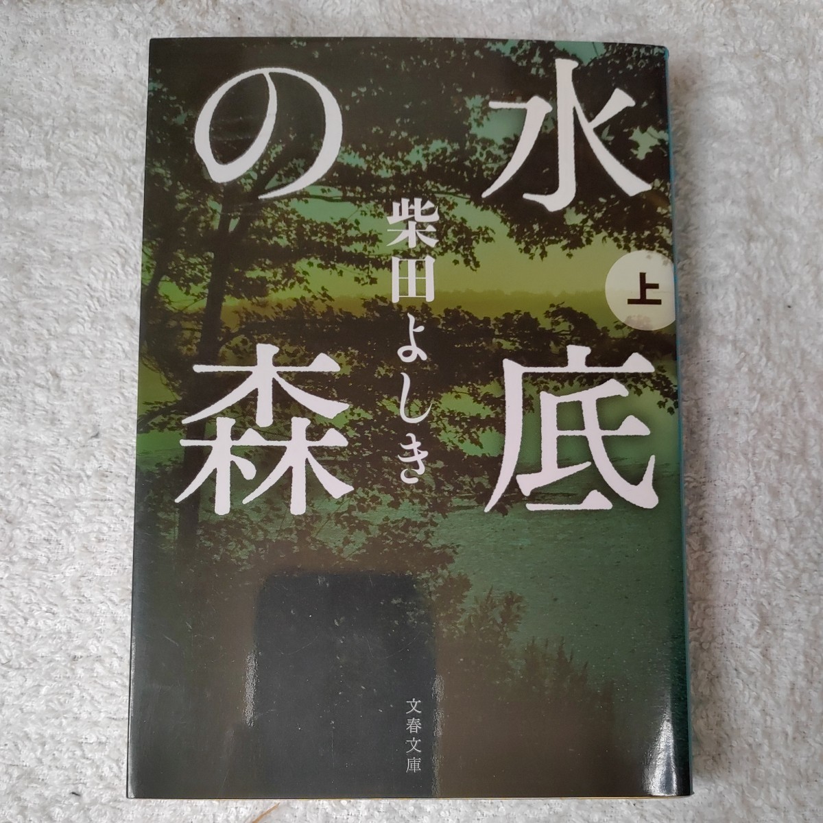  вода низ. лес сверху ( Bunshun Bunko ) Shibata Yoshiki 9784167203160