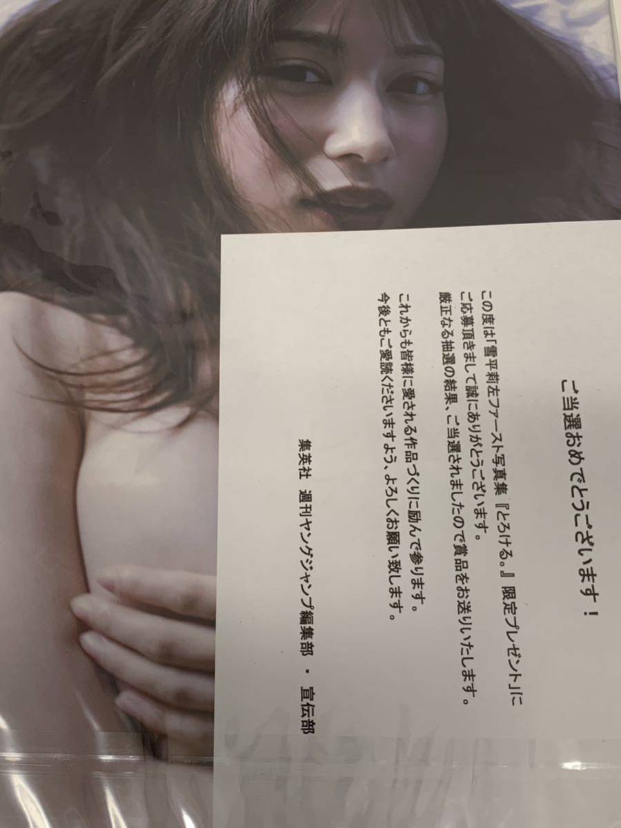 200部限定】 雪平莉左 とろける。 アザーカット写真集 www.natluk.com