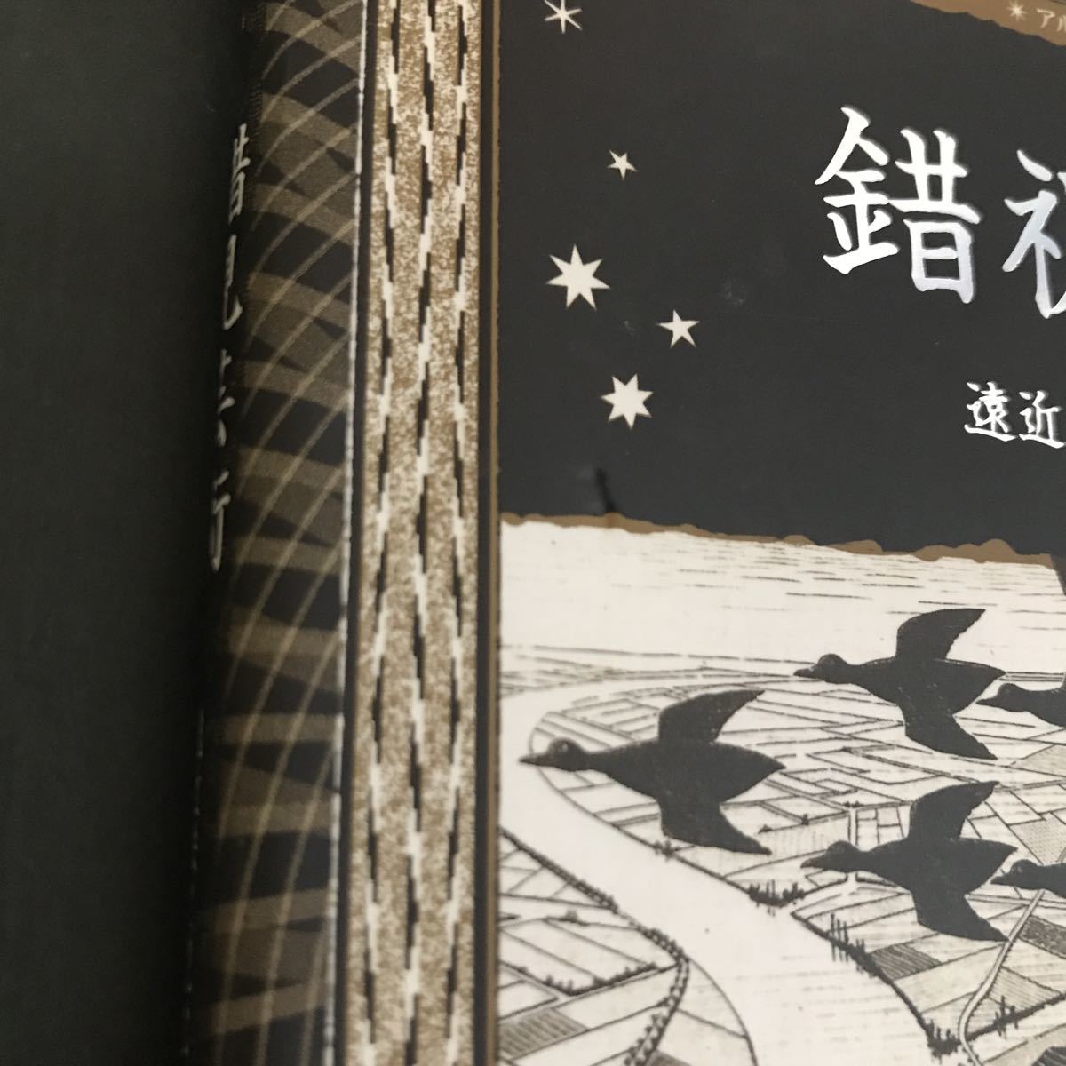 〈送料無料〉 錯視芸術　遠近法と視覚の科学 （アルケミスト双書） フィービ・マクノートン／著　駒田曜／訳_画像3