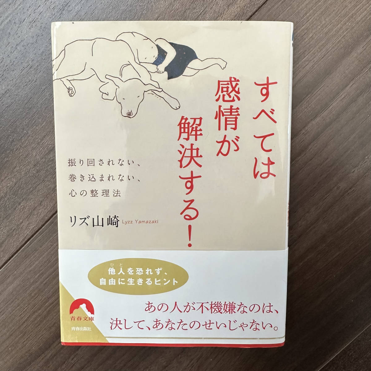  すべては感情が解決する！　振り回されない、巻き込まれない、心の整理法 （青春文庫　り－４） リズ山崎／著_画像1