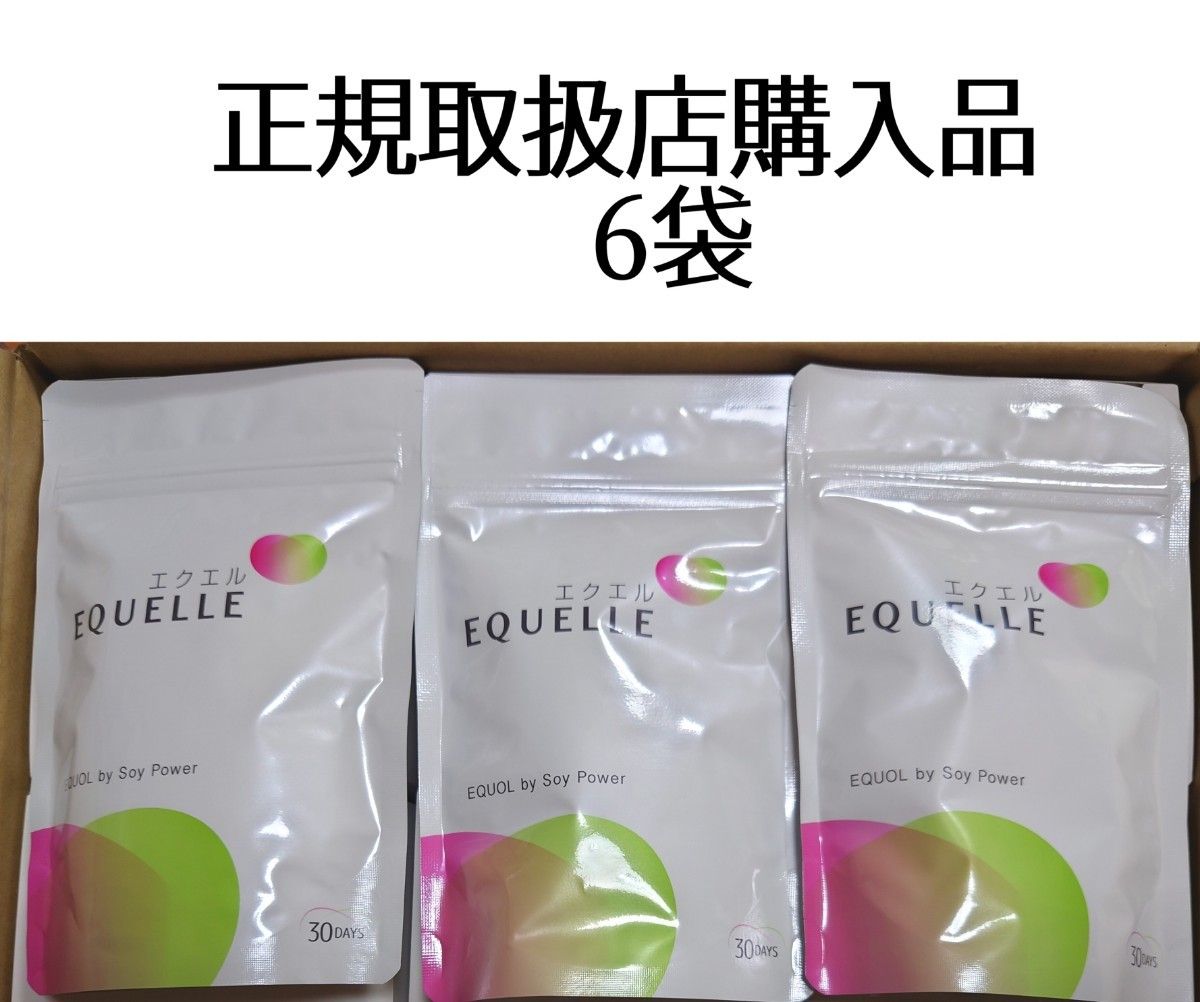 正規取扱店購入品 大塚製薬 エクエル パウチ 6個 大塚製薬エクエル