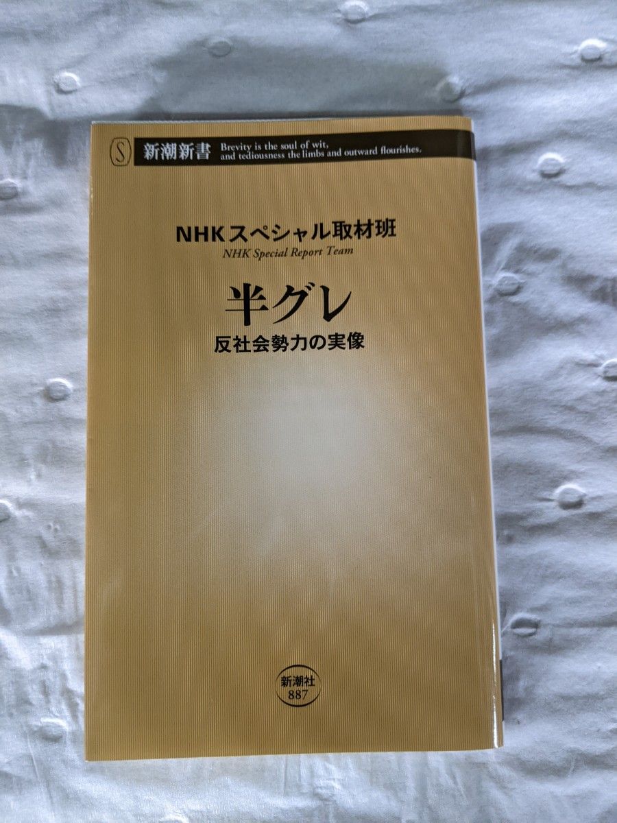 半グレ　反社会勢力の実像　ＮＨＫ取材班