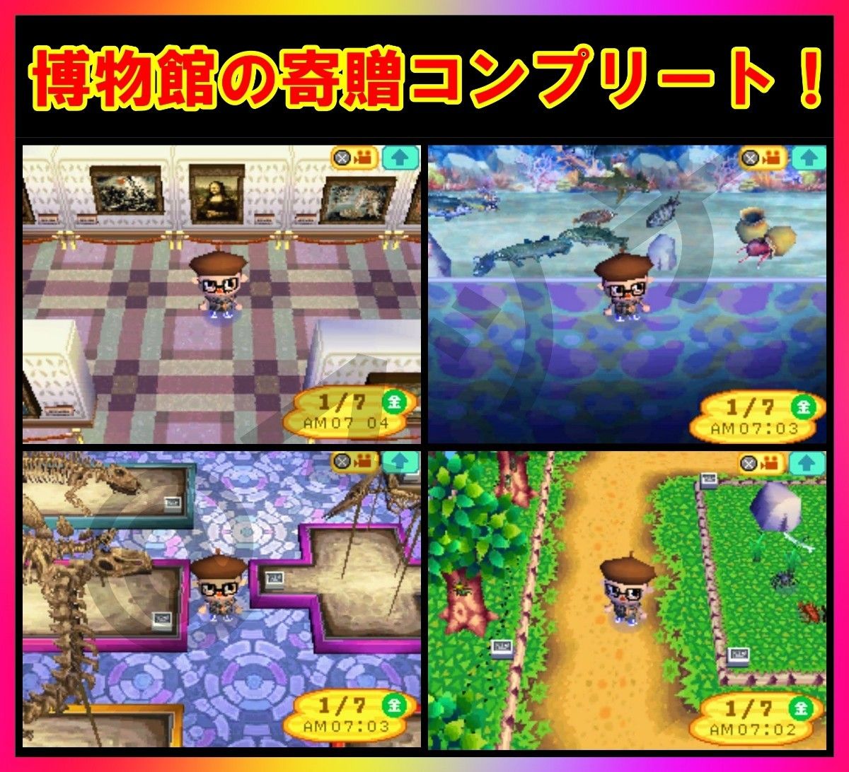 【DS ソフト】おいでよ どうぶつの森（ソフトのみ）レアアイテム多数収録！