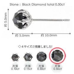 ブラックダイヤモンド スタッドピアス ローズカット 0.5ct プラチナ900 pt900 男女兼用 レディース アクセサリー