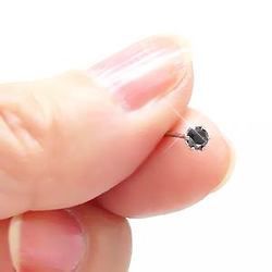 一粒 ダイヤピアス 片耳ピアス ブラックダイヤモンド 0.1ct ダイヤモンド ピアス プラチナ900 pt900 レディース