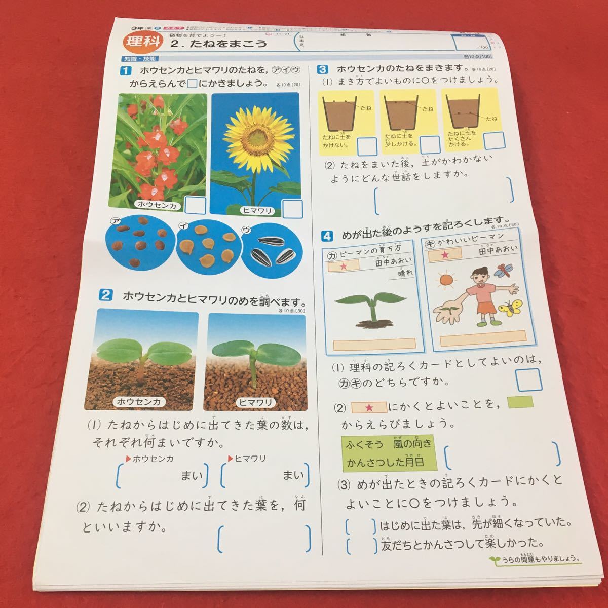 M3a-132 基礎基本 ドリル 理科 A+P 小3年 前期 テスト プリント 予習 復習 国語 算数 理科 社会 英語 家庭科 教材 家庭学習 非売品 新学社_画像5