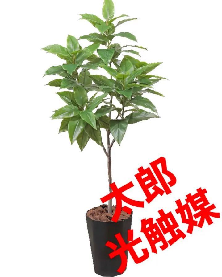 光触媒 人工観葉植物 ウォールグリーン フェイクグリーン フラワー