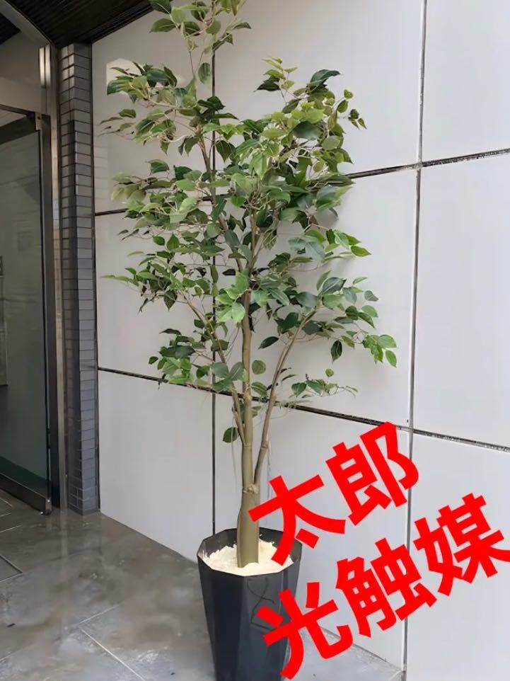 24800 円 初売り 光触媒 人工観葉植物 ウォールグリーン フェイク