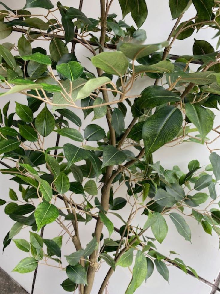 光触媒 人工観葉植物 ウォールグリーン フェイクグリーン 光触媒 人工観葉植物 ウォールグリーン フェイクグリーン