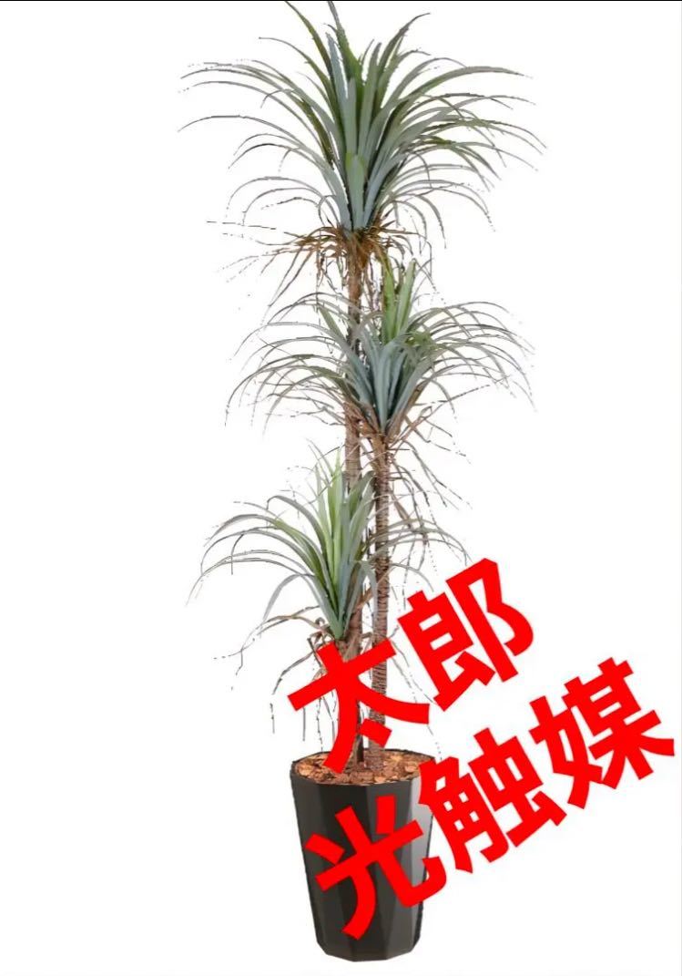 お試し価格！】 光触媒 人工観葉植物 ウォールグリーン フェイク