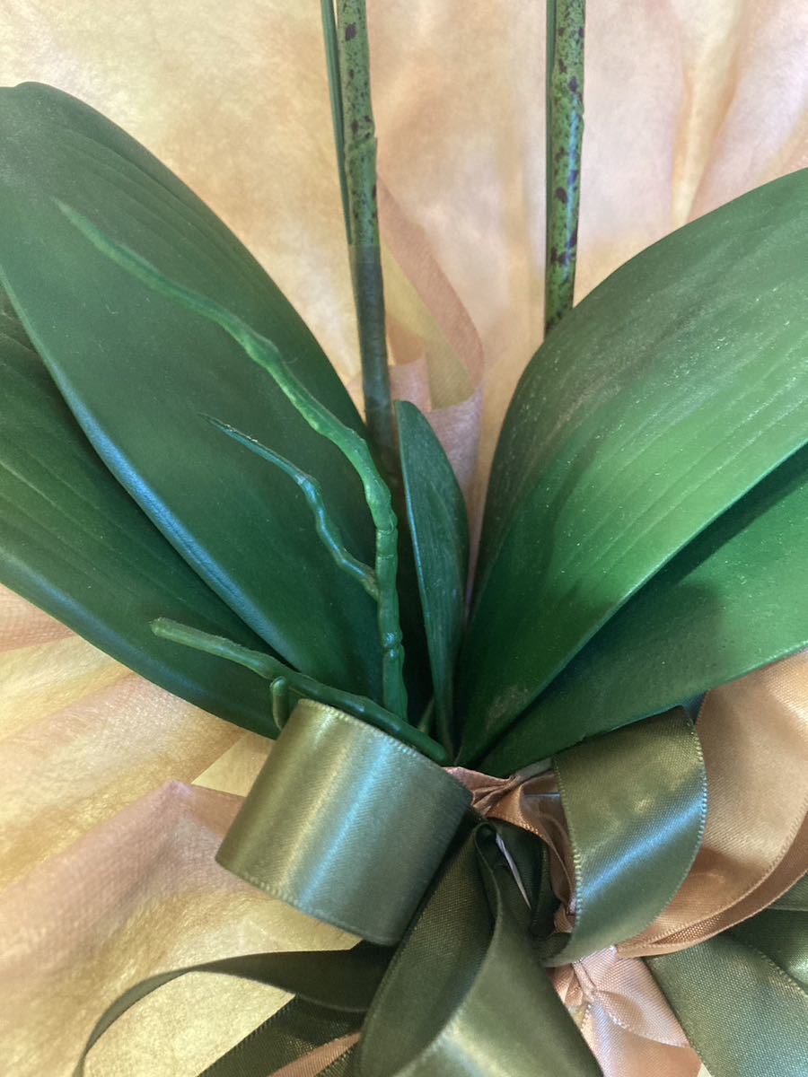 返品不可】 光触媒 人工観葉植物 ウォールグリーン フェイクグリーン