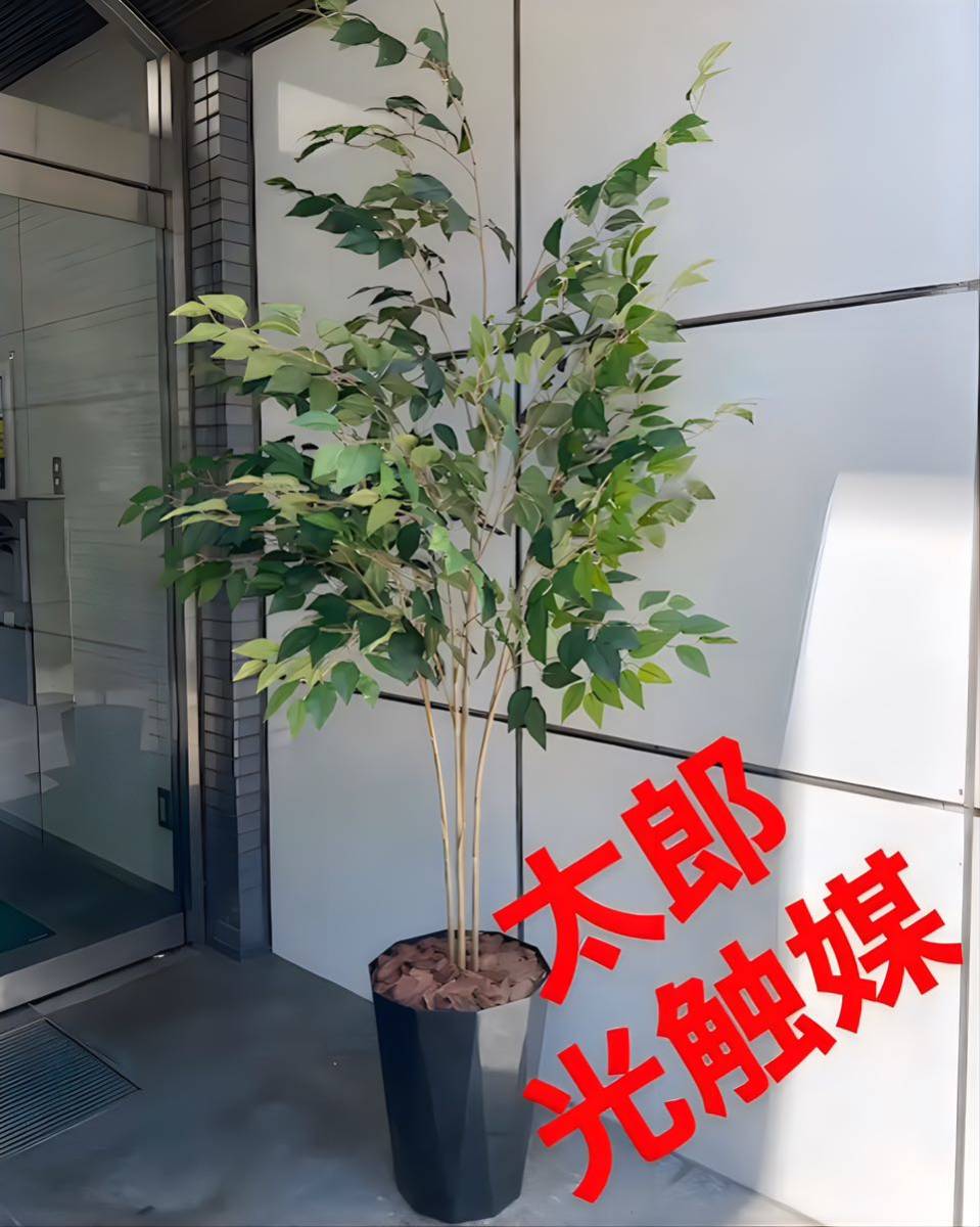 光触媒 人工観葉植物 ウォールグリーン フェイクグリーン 特大壺