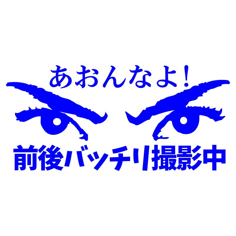 あおり防止 ステッカー 【 あおんなよ 前後バッチリ撮影中 】【青】 車用 カッティングステッカー ドラレコ搭載車用 交通安全 防水_画像1