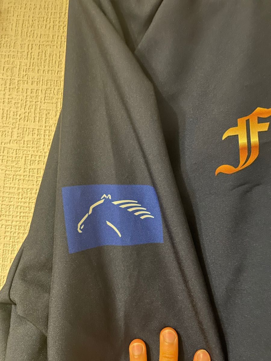 フィエールマン 天皇賞 馬主 ブルゾン 非売品 | alfasaac.com