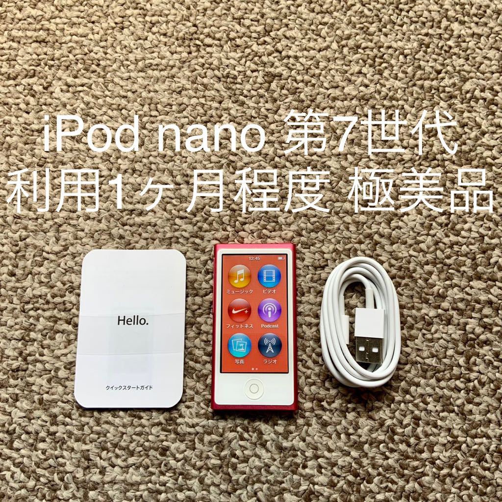 種類豊富な品揃え 16GB 第7世代 nano 【送料無料】iPod Apple 本体