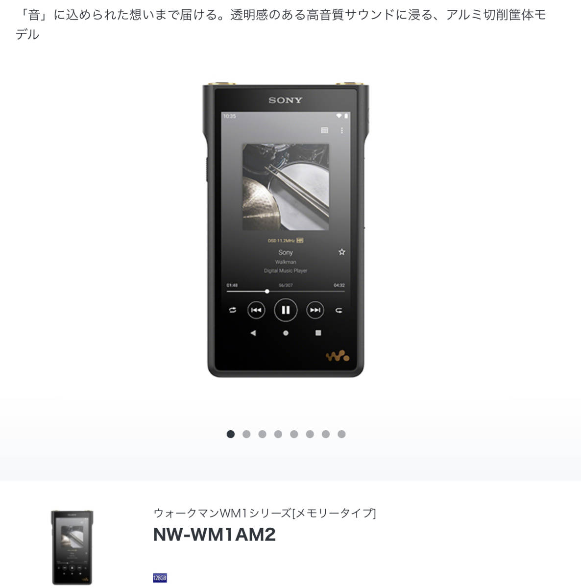 NW-WM1AM2 ウォークマン SONY dignis革ケース付き | tspea.org