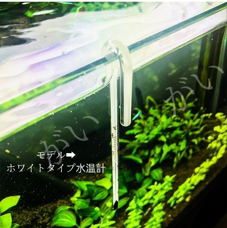 １本　水温計　ホワイトタイプ　サーモメーター　ガラス製　厚さ15mmまで対応　メダカ　金魚　熱帯魚 エビ 等水槽　アクアリウム