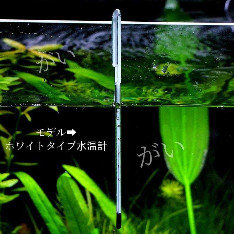 １本　水温計　ホワイトタイプ　サーモメーター　ガラス製　厚さ15mmまで対応　メダカ　金魚　熱帯魚 エビ 等水槽　アクアリウム