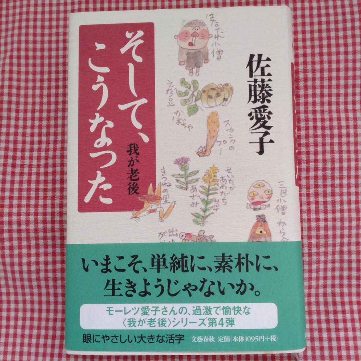 【送料無料】そして、こうなった （我が老後） 佐藤愛子／著_画像1