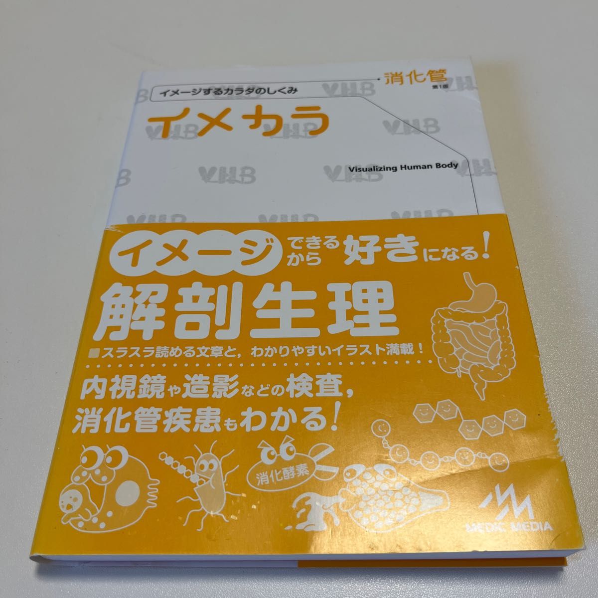 イメカラ　イメージするカラダのしくみ　消化管 医療情報科学研究所／編集