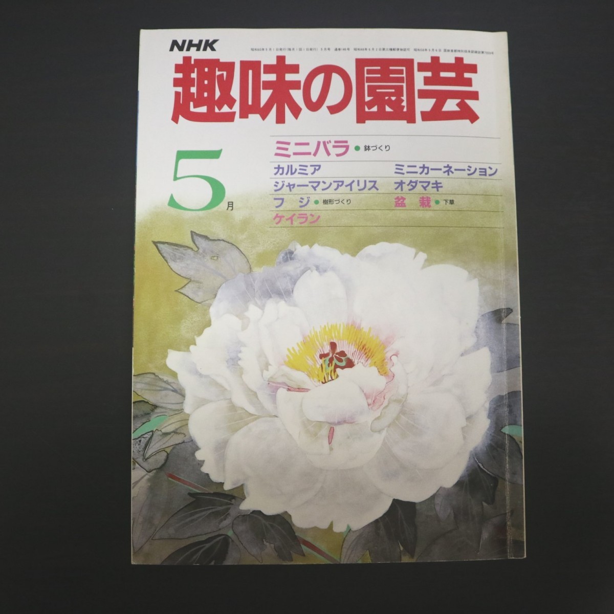  Special 2 51506 / NHK текст хобби. садоводство 1985 год 5 месяц номер мини роза горшок ... Mini гвоздика german Iris бонсай подлесок Kei Ran 