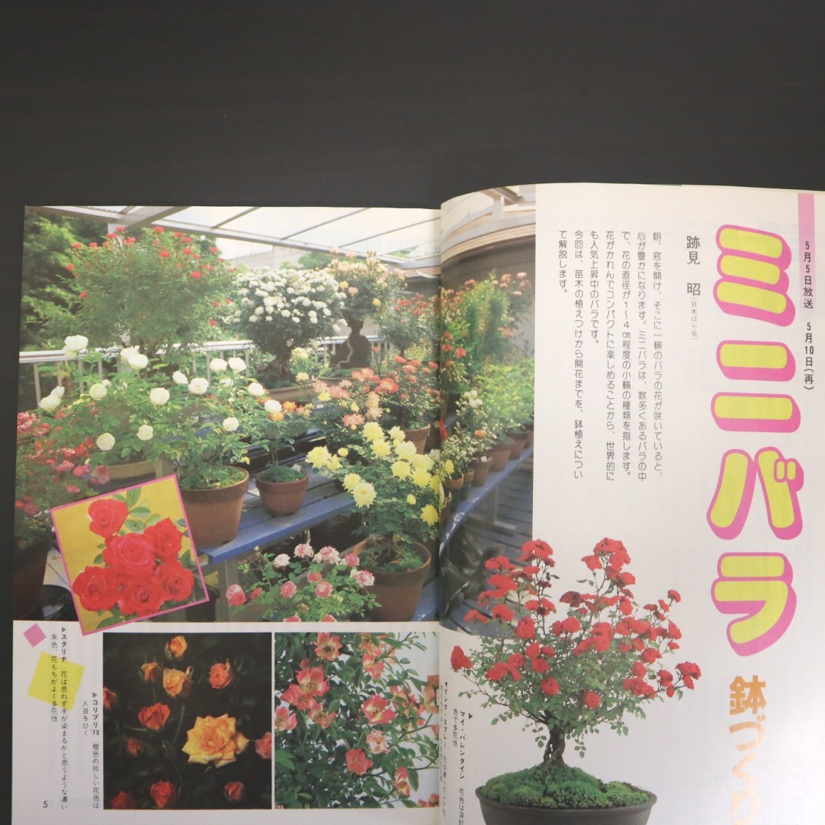  Special 2 51506 / NHK текст хобби. садоводство 1985 год 5 месяц номер мини роза горшок ... Mini гвоздика german Iris бонсай подлесок Kei Ran 