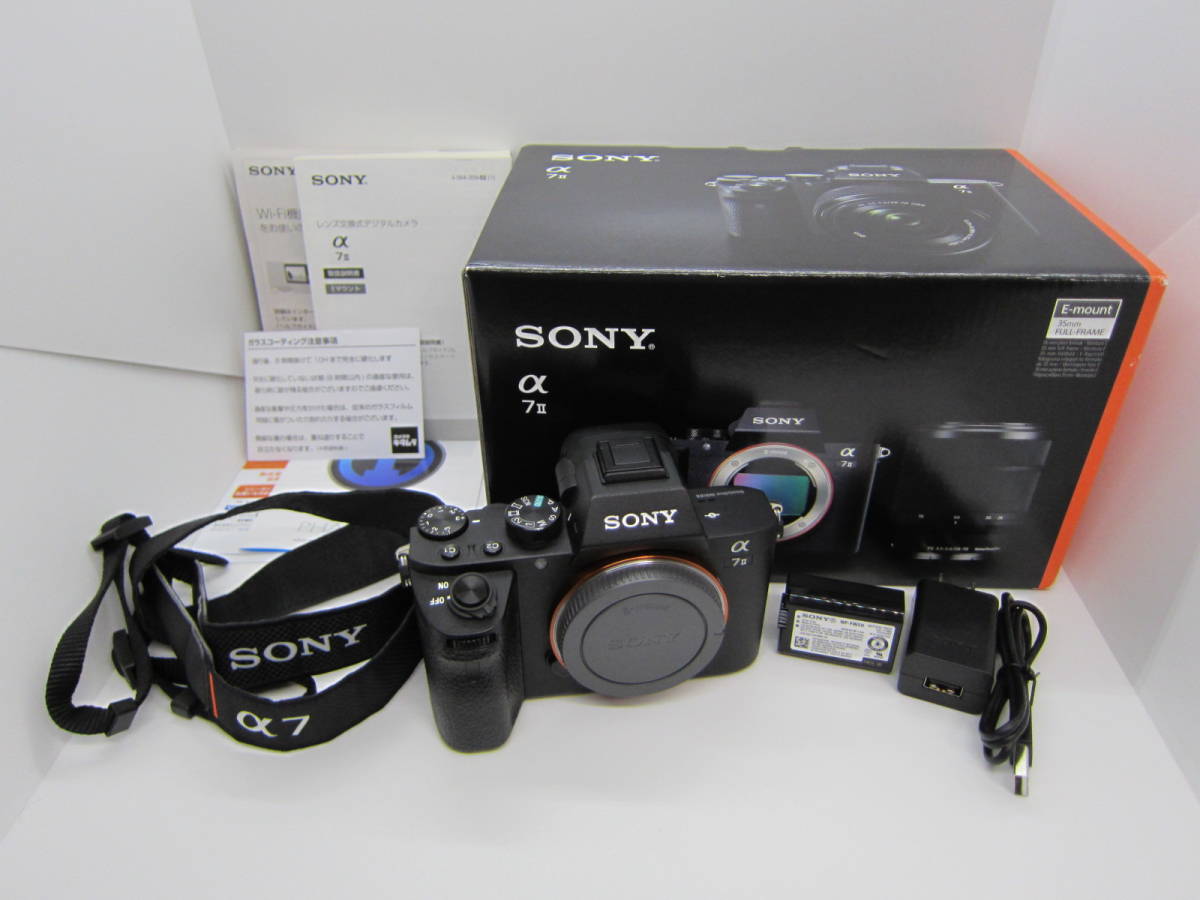 【美品】ソニーSONY α7 ll ILCE-7M2 防湿保管 ショット数:3607枚　 #0062