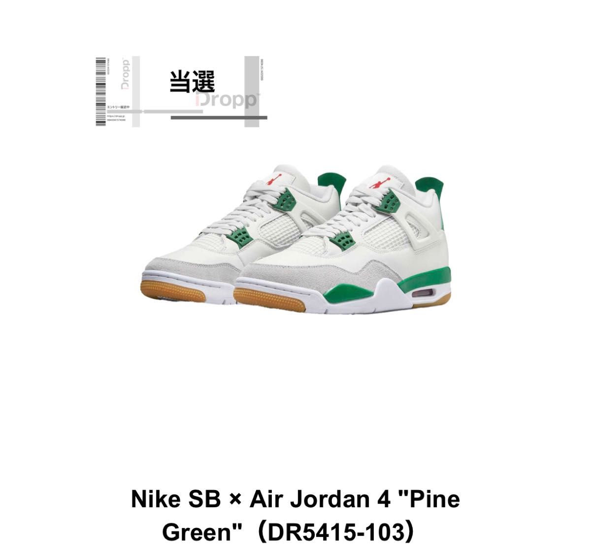 半額SALE／ エアジョーダン Air 国内SNKRS購入品 Nike SB Pine