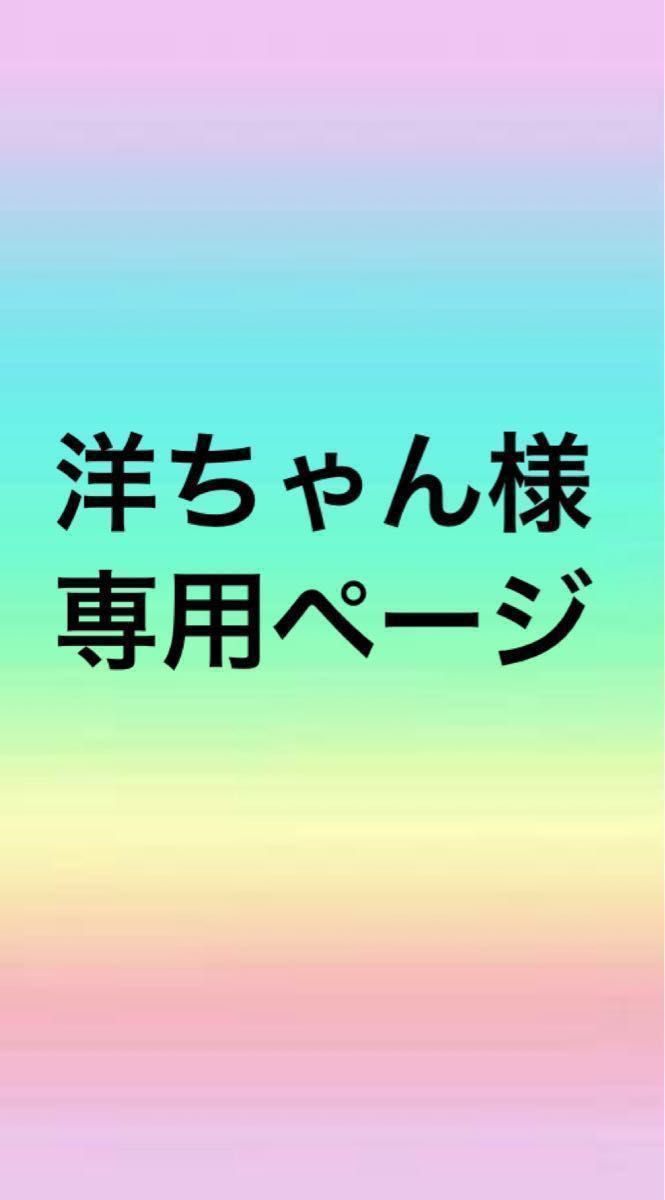 洋ちゃん様専用ページ|PayPayフリマ