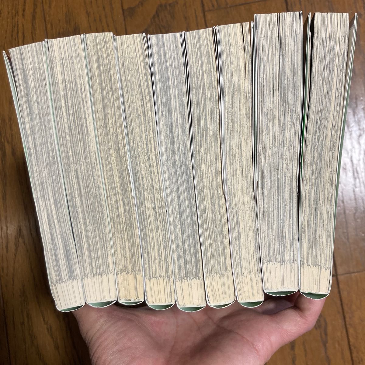 ファインダーシリーズ9冊、小冊子２冊付き　　　　　やまねあやの　３口発送になります必ずコメントお願いします。