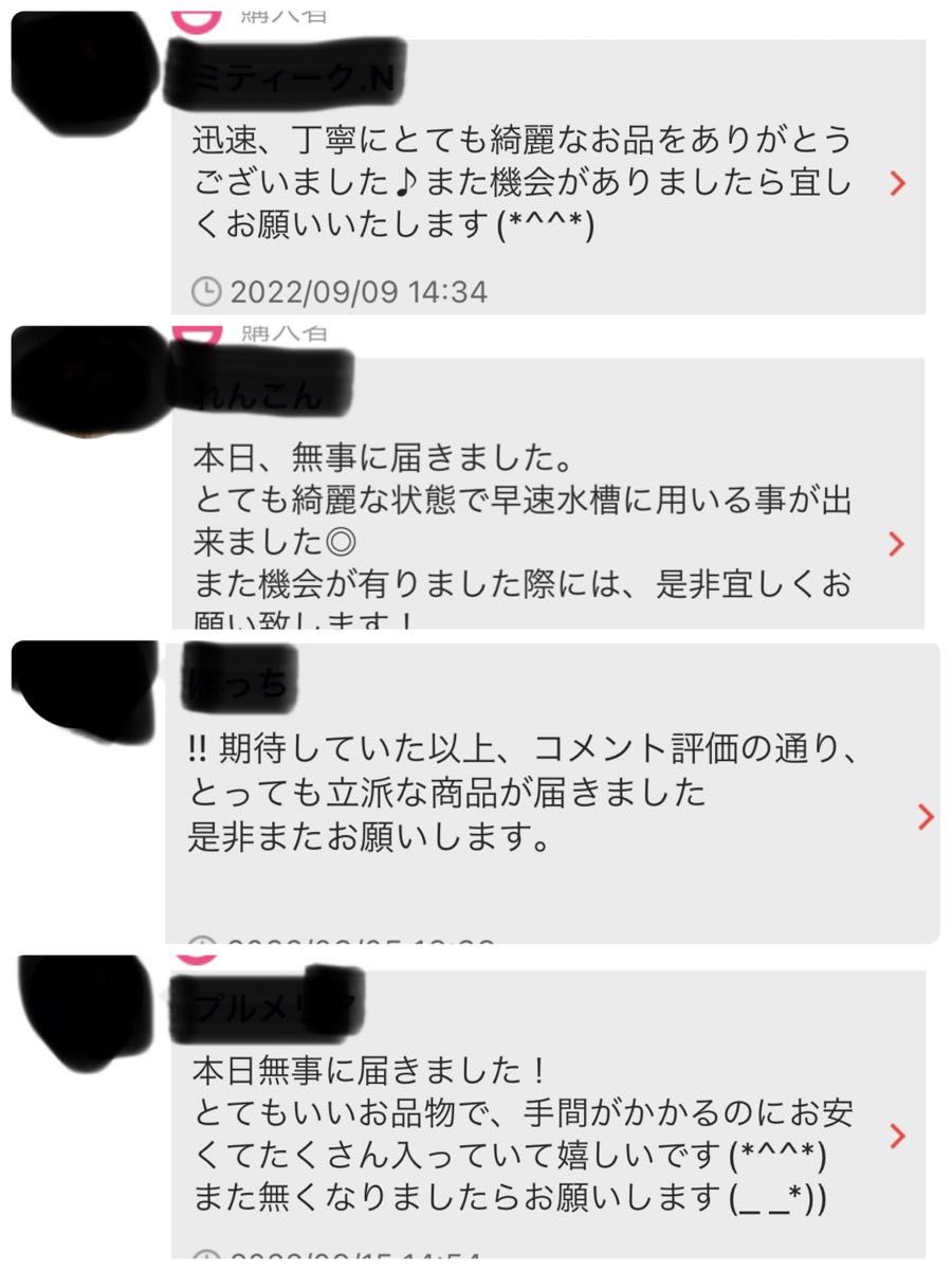 商品 沖縄県やんばる産 マジックリーフ 60g 25〜30枚入 水洗い熱殺菌