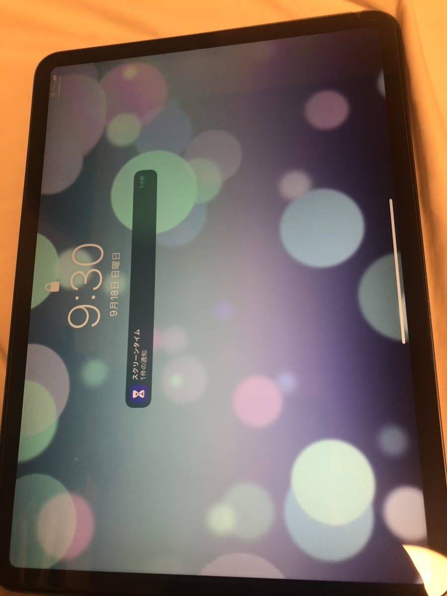 apple pencil付iPad Pro第一世代Wi-Fiモデル スペースグレー 64GB
