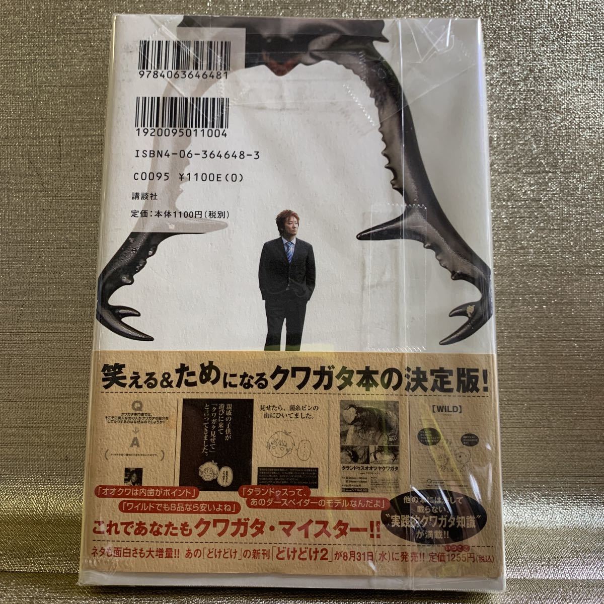 いつもここから　山田一成の　カブト　クワガタ生活　山田一成【著】カブト・クワガタの入門書_画像2