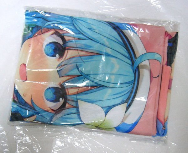 受取連絡必須※ ☆未開封正規品 抱き枕 KADOKAWA ブレイブソード