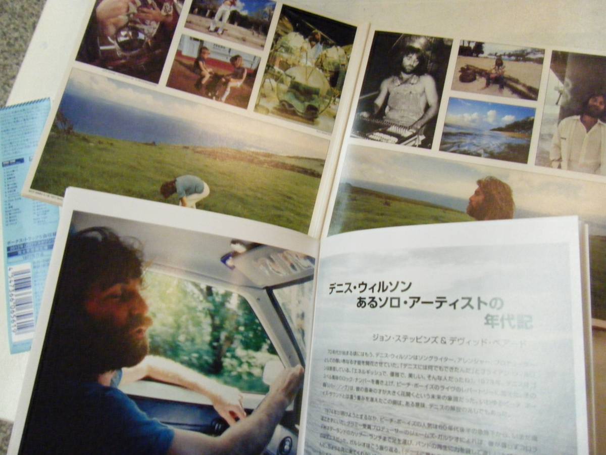 入手難 デニス・ウィルソン  限定 エディション盤 稀少 ２枚組 ブルースペック  デラックス 日本盤の画像2