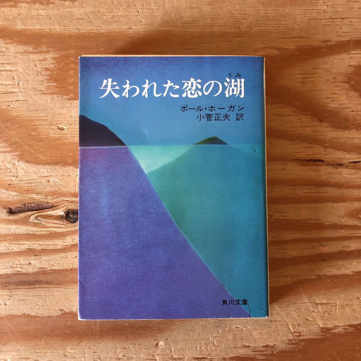 K11C1-230413 レア［失われた恋の湖 ポール・ホーガン 小管正夫 訳］勇気の証 砂塵と雨_画像1