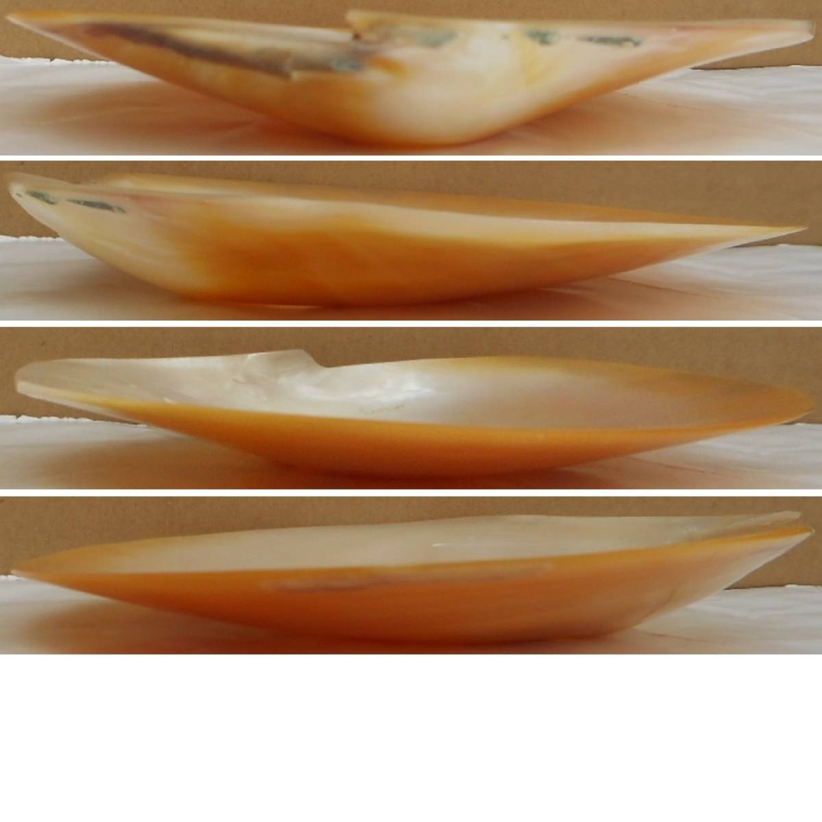 自然 貝殻 貝皿 アコヤ貝 3枚 真珠貝皿 菓子皿 突出し皿 香皿 色々ご利用くださいの画像5