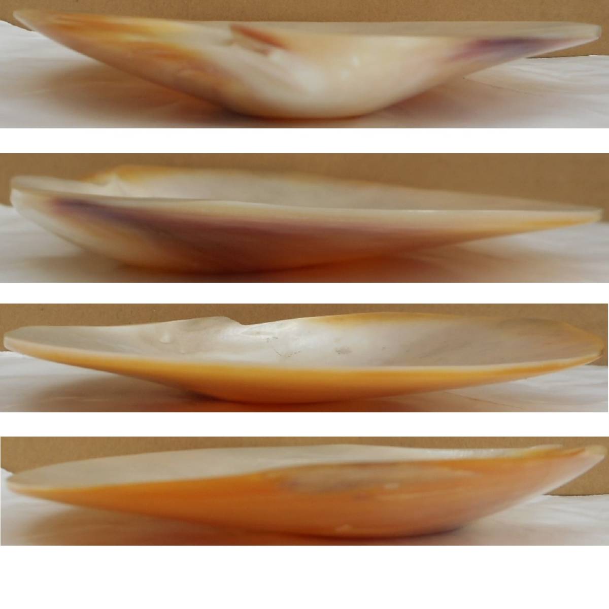 自然 貝殻 貝皿 アコヤ貝 3枚 真珠貝皿 菓子皿 突出し皿 香皿 色々ご利用くださいの画像8